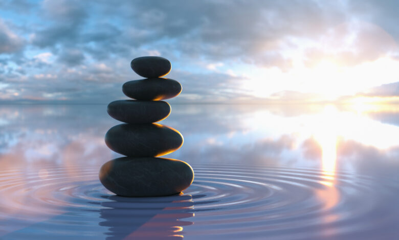 an unconventional education for aspiring psychiatrists an unconventional education for aspiring psychiatrists